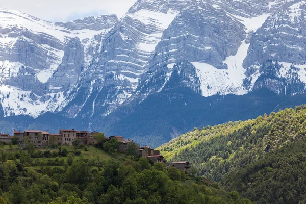 Una Hermosa Vista Las Montañas Boscosas Cubiertas Nieve Durante Día — Foto de Stock