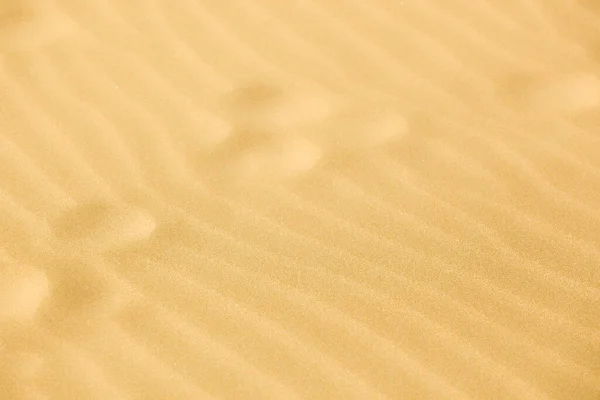 Крупним Планом Світлий Піщаний Пляж Слідами — стокове фото