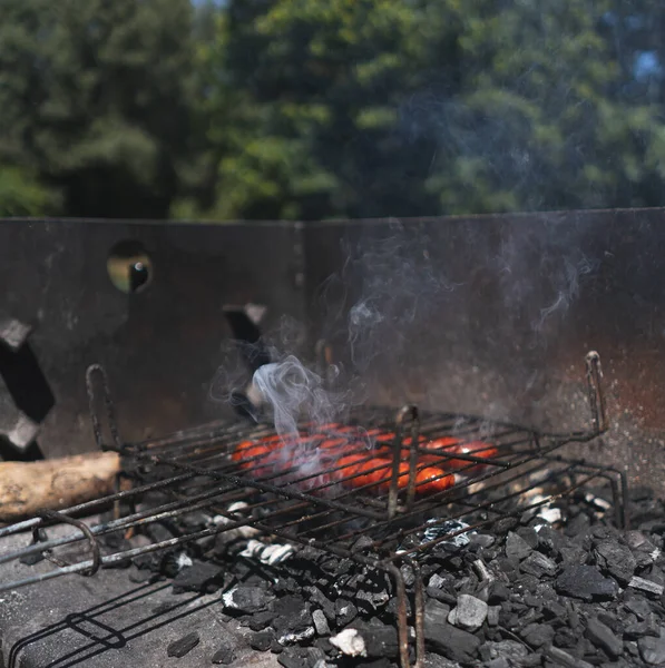 Primer Plano Salchichas Asadas Brasero — Foto de Stock