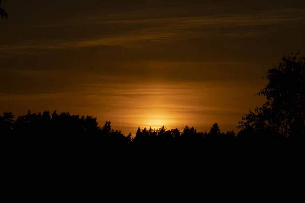 Pôr Sol Impressionante Quente Mágico Horas Nas Florestas Finlândia — Fotografia de Stock