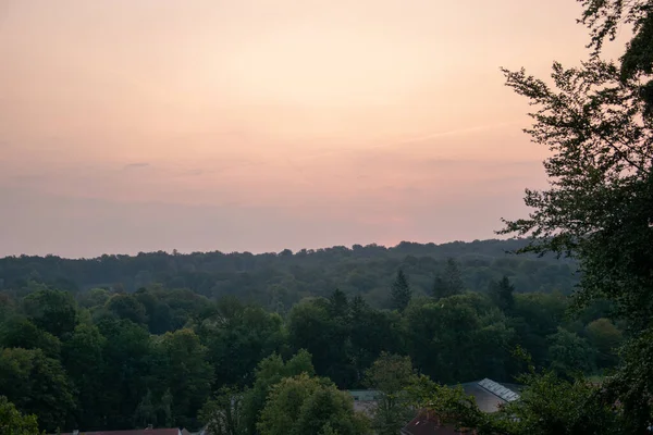 Vacker Utsikt Över Gröna Träd Skog Solnedgången Himlen — Stockfoto