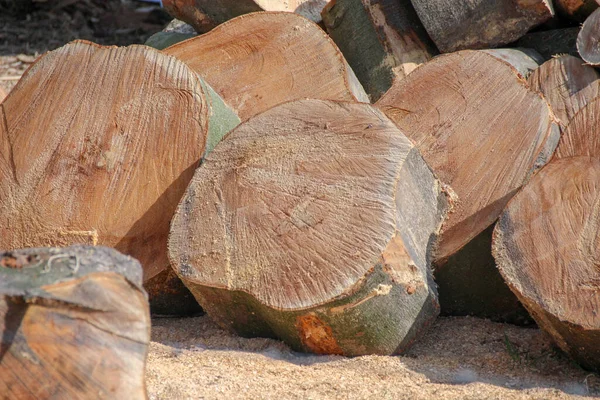 Närbild Hög Ved — Stockfoto