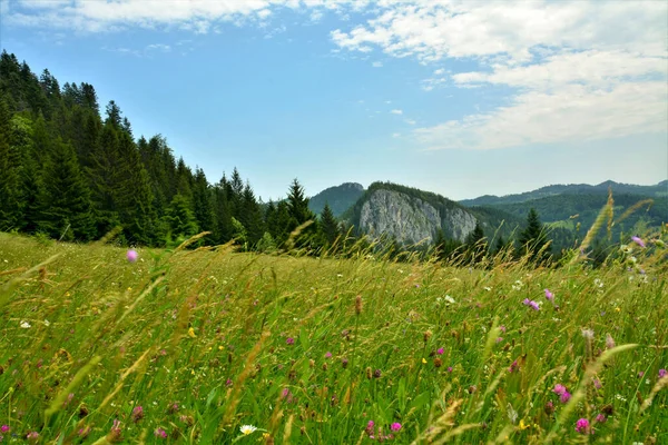 Eine Schöne Aufnahme Der Landschaft Der Hasmas Berge Mit Einem — Stockfoto