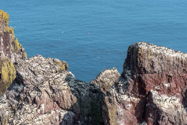 Eine Schöne Aufnahme Des Küstenpfades Von Abbs Schottland — Stockfoto