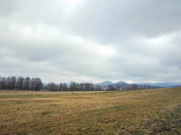 Une Belle Vue Paysage Avec Des Arbres Horizon — Photo