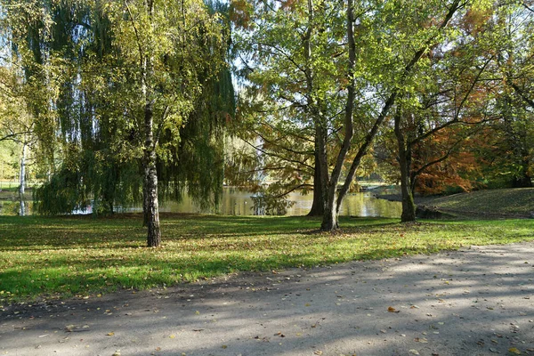 Una Hermosa Toma Pequeño Lago Parque —  Fotos de Stock