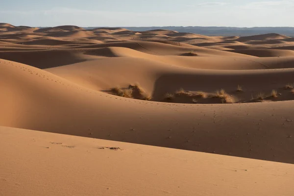 Een Prachtig Uitzicht Zandduinen Woestijn Perfect Voor Behang — Stockfoto