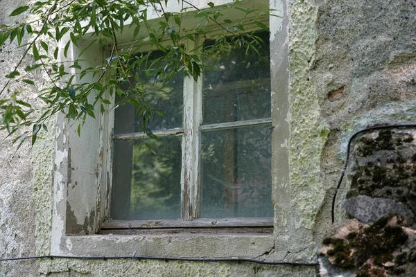 Primer Plano Una Vieja Ventana Madera Edificio Abandonado — Foto de Stock