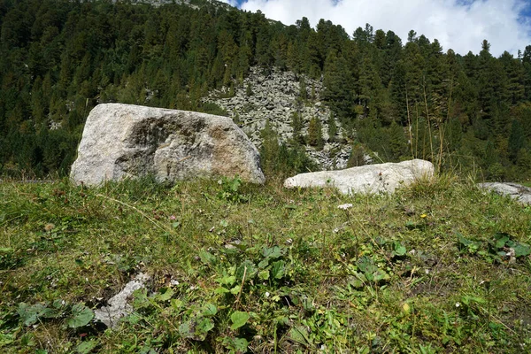 Piedras Grandes Hierba Con Bosque Fondo — Foto de Stock