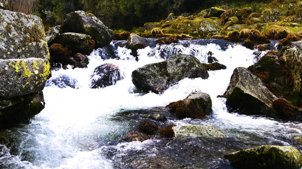 Vacker Utsikt Över Bergsflod Och Enorma Stenar Täckta Med Mossa — Stockfoto