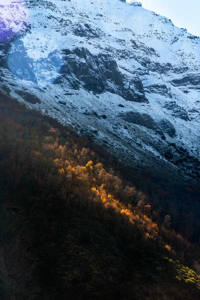 Tiro Vertical Montanhas Nevadas Com Floresta — Fotografia de Stock