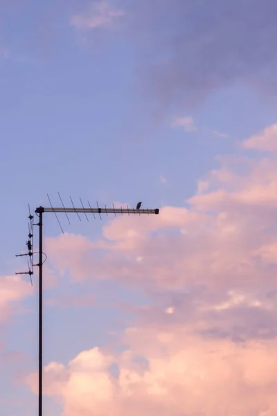 Eine Vertikale Aufnahme Einer Fernsehantenne Auf Einem Himmelshintergrund — Stockfoto