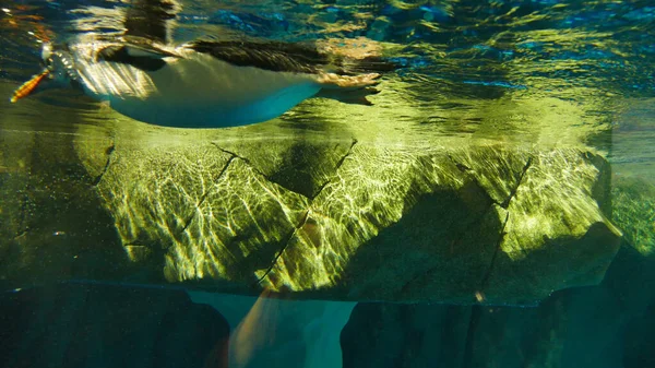 Primo Piano Una Grande Roccia Sott Acqua — Foto Stock