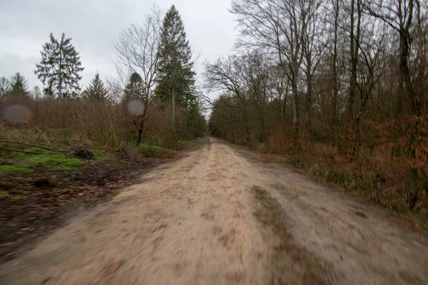 Primo Piano Percorso Campo — Foto Stock