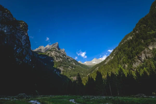 Kayalık Dağlarla Çevrili Bir Ormanın Görüntüsü — Stok fotoğraf