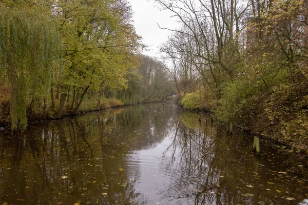 Closeup Shot River Trees — Stock Photo, Image