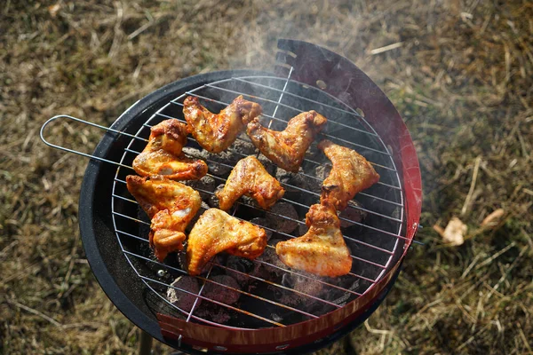 Kyckling Grill Med Kol Parken — Stockfoto