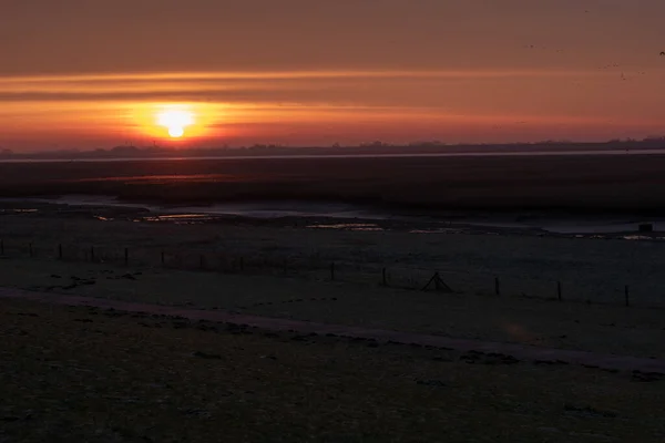 Nahaufnahme Eines Feldes Bei Sonnenuntergang — Stockfoto