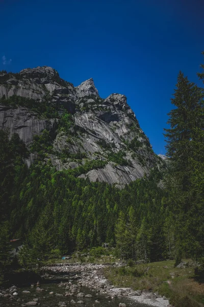 Tiro Bosque Con Montañas Rocosas Lado — Foto de Stock