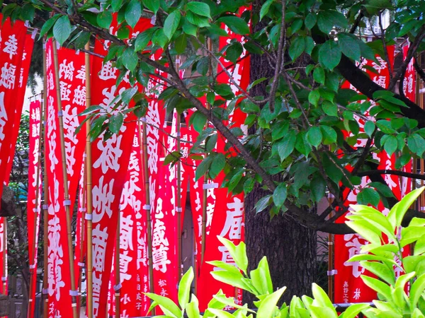 Eine Nahaufnahme Von Roten Japanischen Bändern Die Einem Park Hängen — Stockfoto