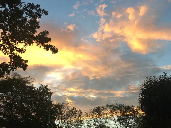 Kolorowe Zachody Słońca Niebo Sylwetką Gałęzi Drzew Liści — Zdjęcie stockowe