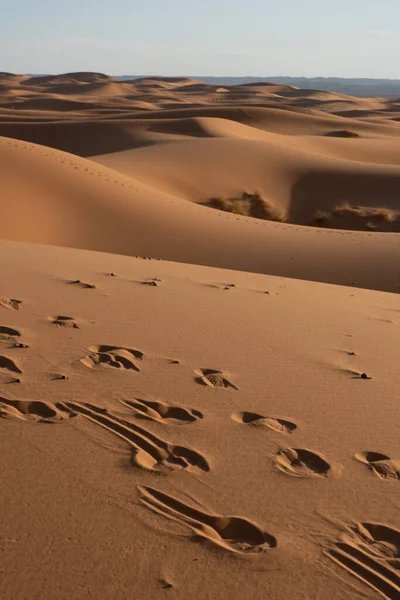Een Verticaal Schot Van Zandduinen Woestijn Perfect Voor Behang — Stockfoto