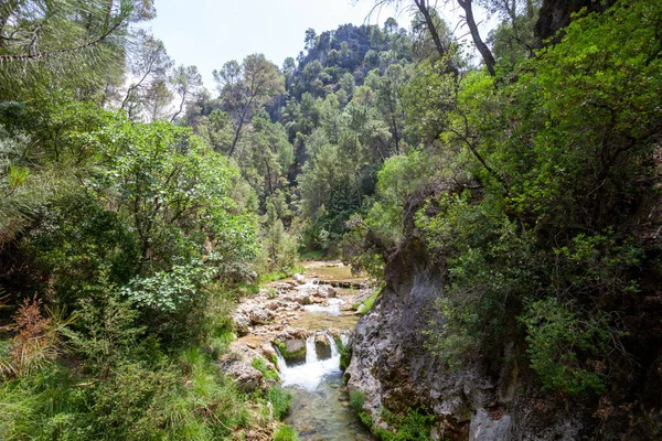 Krásný Výhled Řeku Borosa Přírodním Parku Sierras Cazorla Segura Vily — Stock fotografie