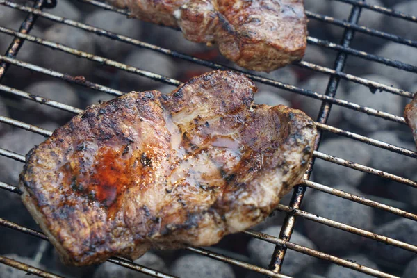 Primer Plano Una Barbacoa Cerdo Una Parrilla — Foto de Stock