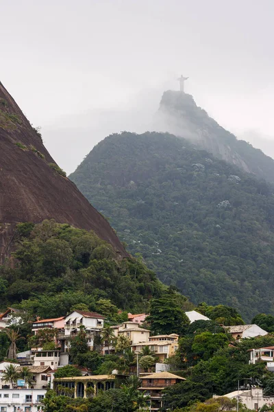 Чудовий Вертикальний Кадр Ріо Жанейро Бразилія — стокове фото