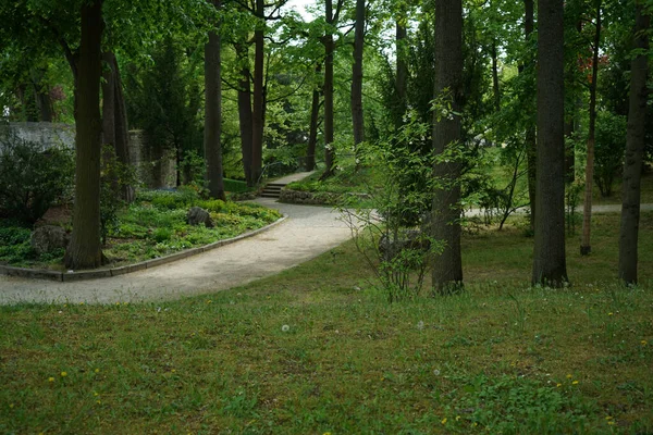 Caminho Parque Acolhedor Verde Durante Dia — Fotografia de Stock