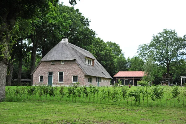 Venkovská Krajina Cihlovým Domem Stodolou Létě — Stock fotografie