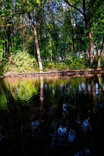 공원에서 나무의 반사가 호수의 — 스톡 사진
