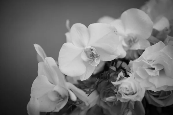 Gri Tonda Güzel Çiçek Buketlerinin Yakın Plan Çekimi — Stok fotoğraf