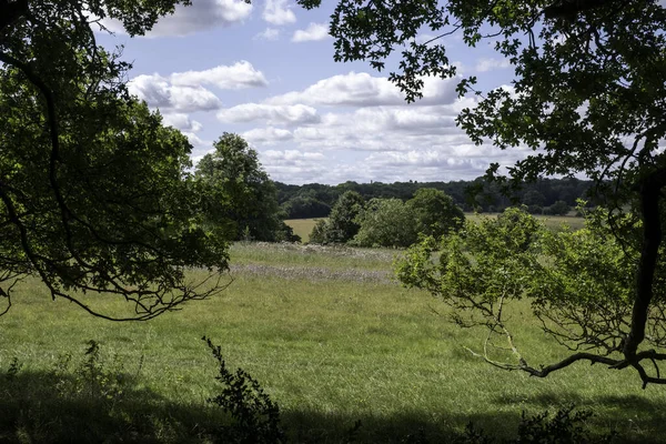 Eine Schöne Aufnahme Einer Landschaft Suffolk England — Stockfoto