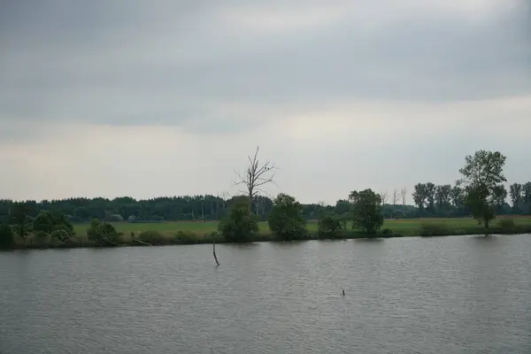 Lac Entouré Plantes Pendant Journée Allemagne — Photo