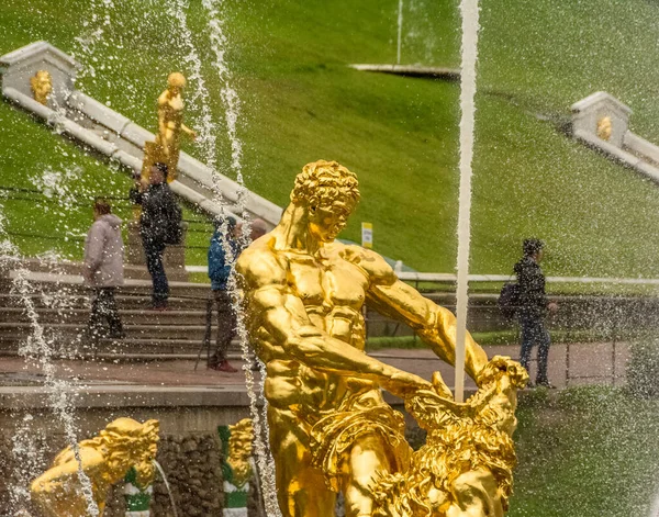 Close Uma Estátua Ouro Retratando Homem Lutando Com Leão Peterhof — Fotografia de Stock