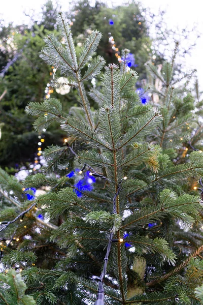 Eine Flache Aufnahme Eines Geschmückten Weihnachtsbaums Mit Blaulicht — Stockfoto