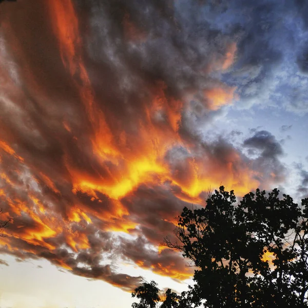 Tiro Ângulo Baixo Céu Nublado Durante Belo Pôr Sol Noite — Fotografia de Stock