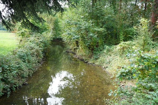 Une Rivière Dans Une Forêt Entourée Arbres — Photo