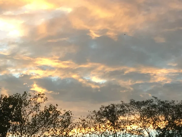 Colorido Céu Pôr Sol Com Silhueta Galhos Árvores Folhas — Fotografia de Stock