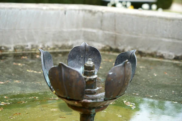 Nahaufnahme Eines Springbrunnens Form Einer Blume — Stockfoto