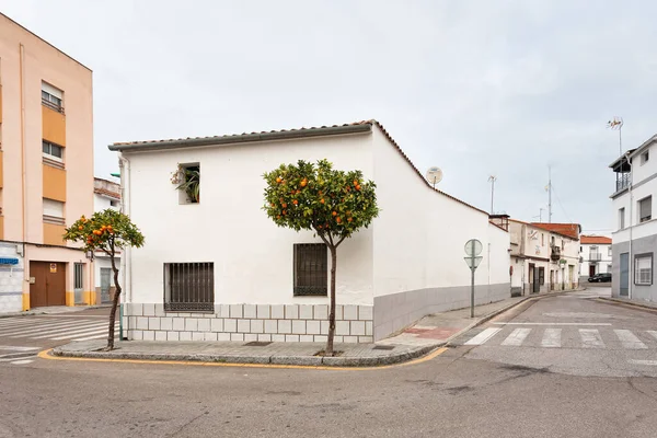 Miajadas Spanyolország Január 2020 Kilátás Városra Utcára Házak Épületek Miajadas — Stock Fotó