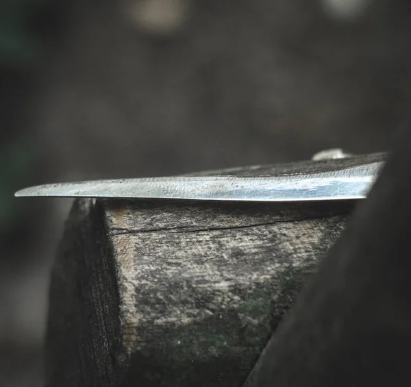 Ormanda Bir Bıçağın Yakın Çekimi — Stok fotoğraf