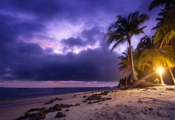 Muhteşem Bir Günbatımında Güzel Bir Palmiye Ağacı Görüntüsü — Stok fotoğraf