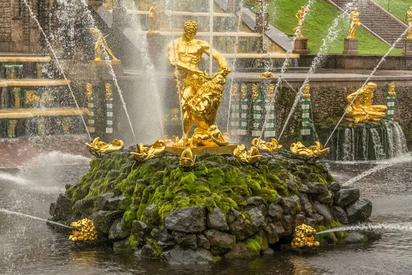Primer Plano Una Estatua Oro Jardín Fuente Peterhof Imágenes de stock libres de derechos