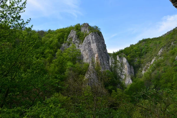 Une Vue Fascinante Sur Les Célèbres Gorges Varghis Roumanie — Photo
