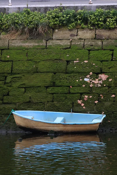 Tiro Vertical Pequeno Barco Lago — Fotografia de Stock