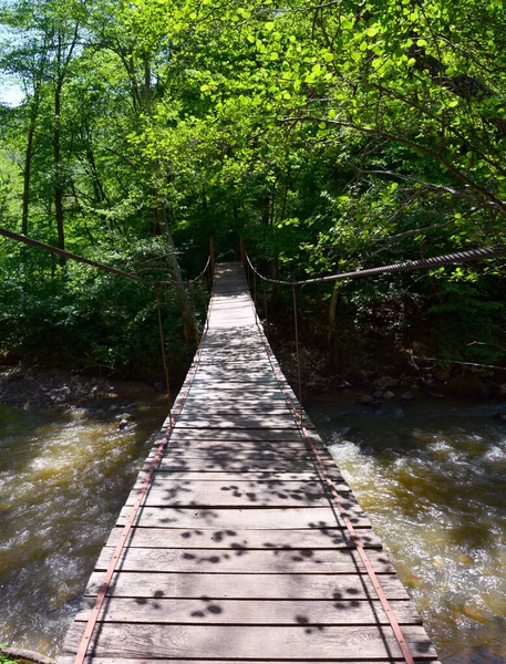 Disparo Vertical Puente Madera Sobre Río Rodeado Árboles Las Gargantas — Foto de Stock