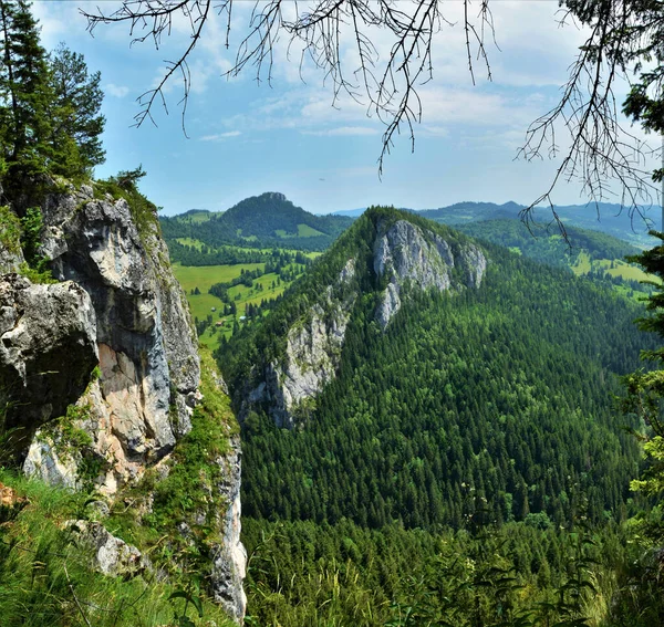 Uma Bela Paisagem Das Famosas Montanhas Hasmas Romênia — Fotografia de Stock