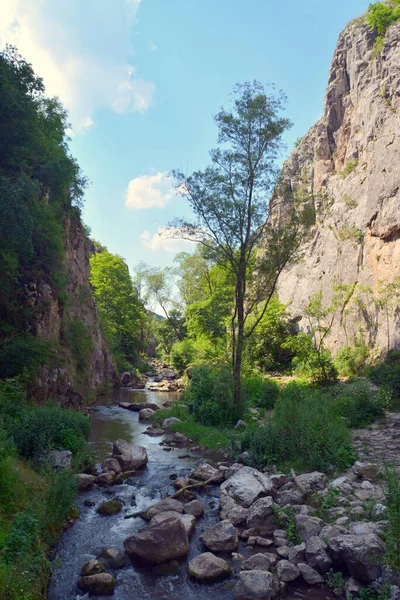 Чудовий Краєвид Історичних Ущелин Турції Румунії — стокове фото